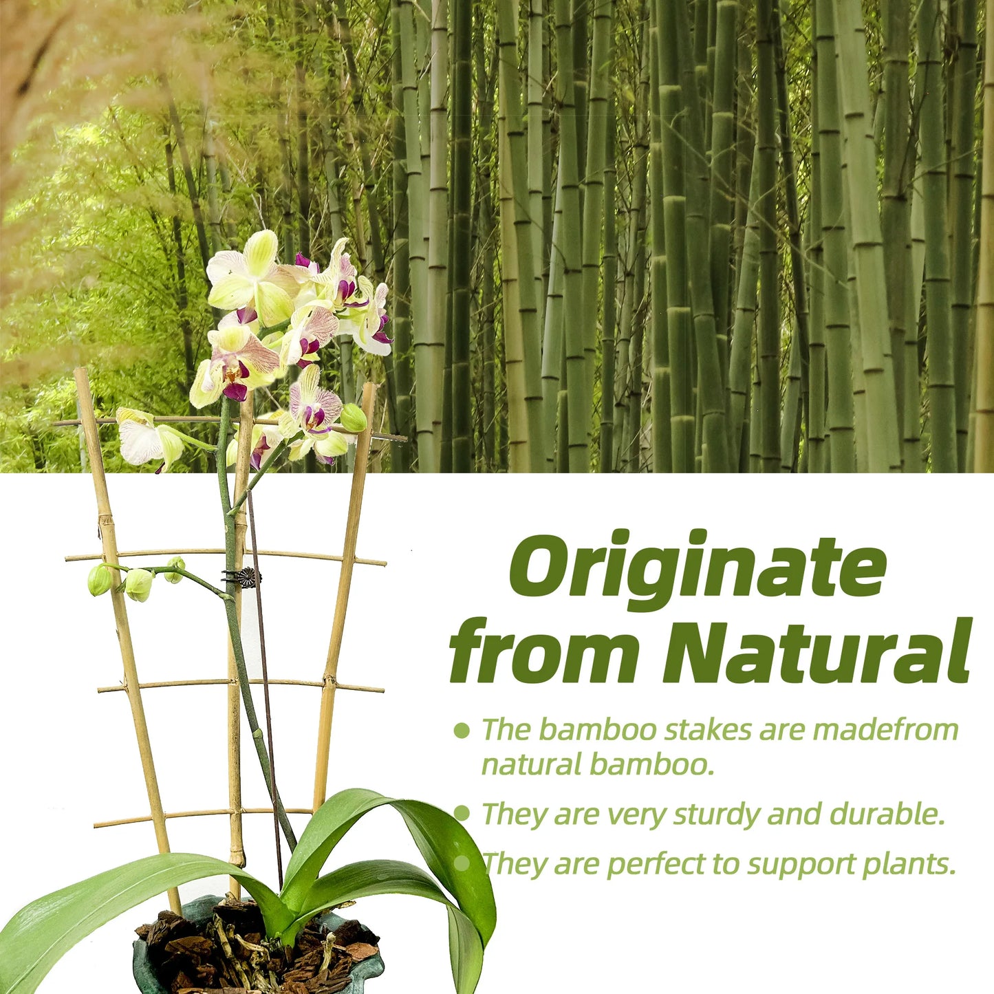 10 Pack Bamboo Trellis For Climbing Plants, Suitable For Potted Plants