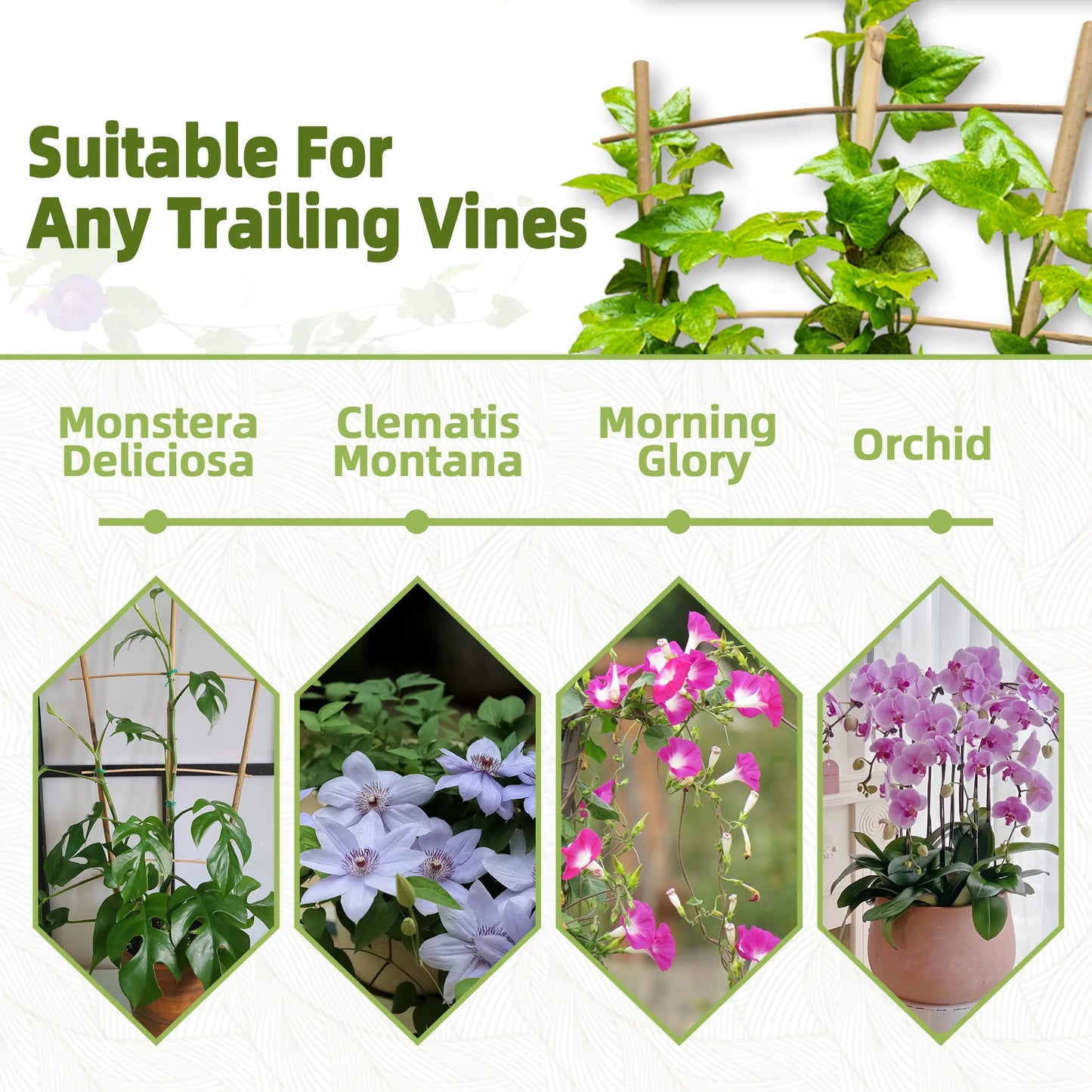 10 Pack Bamboo Trellis For Climbing Plants, Suitable For Potted Plants