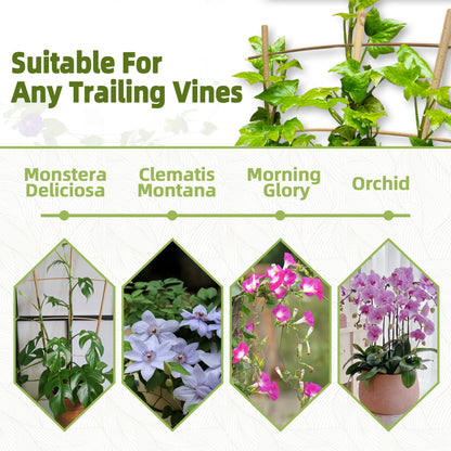 10 Pack Bamboo Trellis For Climbing Plants, Suitable For Potted Plants