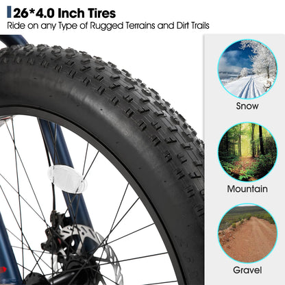 20 Inch Fat Tire Mountain Bike, 7-Speed, Dual-Disc Brake
