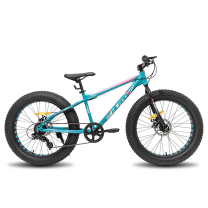 20 Inch Fat Tire Mountain Bike, 7-Speed, Dual-Disc Brake