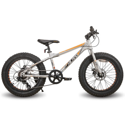 20 Inch Fat Tire Mountain Bike, 7-Speed, Dual-Disc Brake