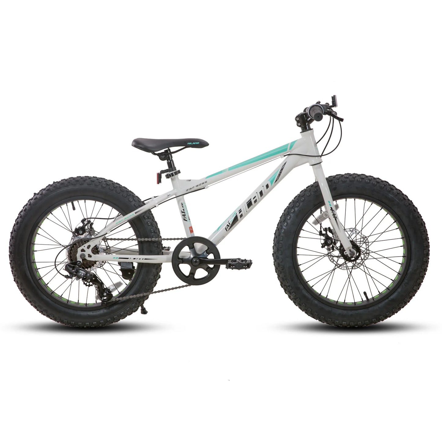 20 Inch Fat Tire Mountain Bike, 7-Speed, Dual-Disc Brake