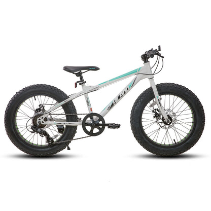 20 Inch Fat Tire Mountain Bike, 7-Speed, Dual-Disc Brake